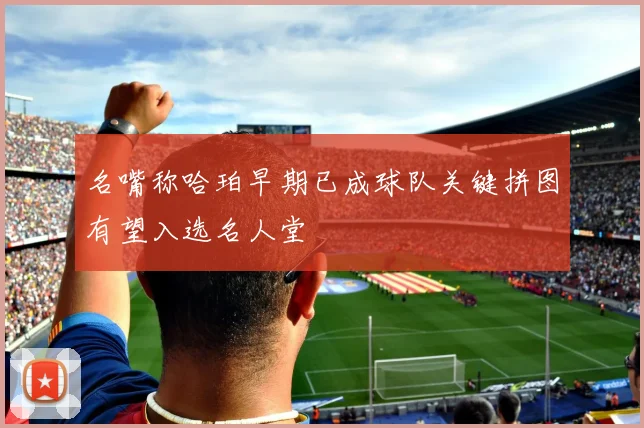 名嘴称哈珀早期已成球队关键拼图有望入选名人堂