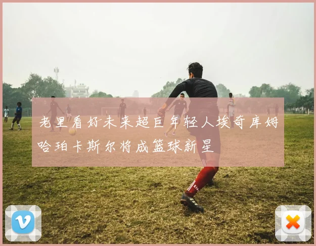 老里看好未来超巨年轻人埃奇库姆哈珀卡斯尔将成篮球新星