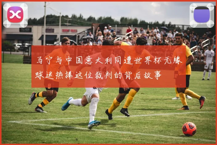 马宁与中国意大利同遭世界杯无缘球迷热捧这位裁判的背后故事